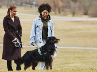 dogwalk-2026