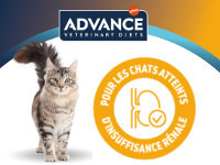 advance-rein-chat